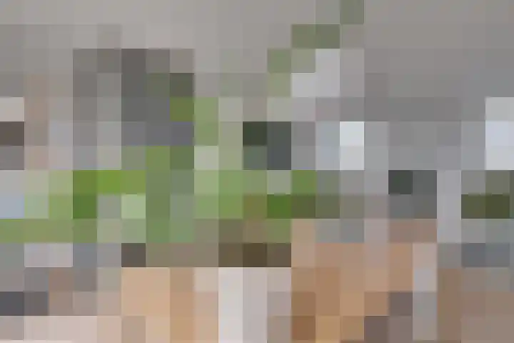 Weemstraat 33 Didam thumbnail 25