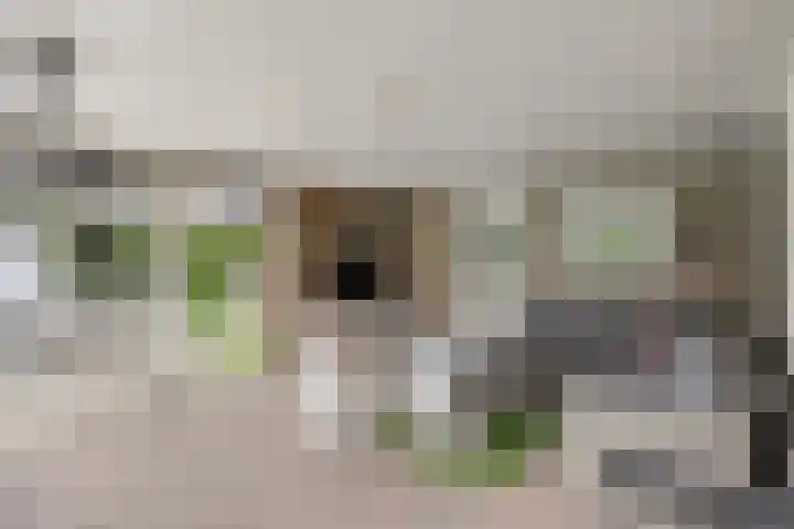 Weemstraat 33 Didam thumbnail 27