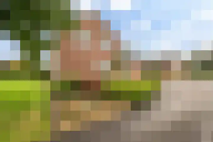 Weemstraat 33 Didam thumbnail 32