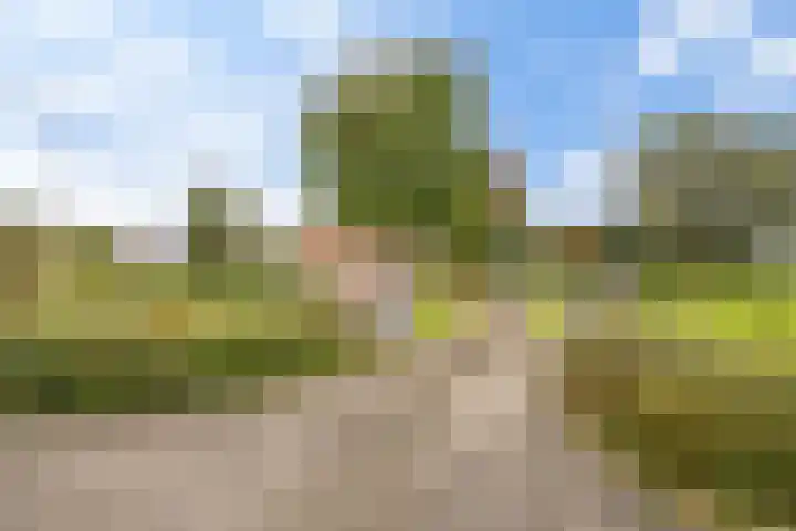 Weemstraat 33 Didam thumbnail 34