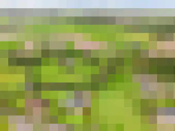 Weemstraat 33 Didam thumbnail 36