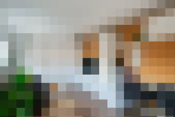 Weemstraat 6 Beek thumbnail 26