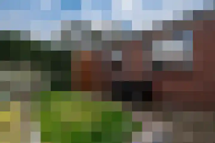 Weemstraat 6 Beek thumbnail 28