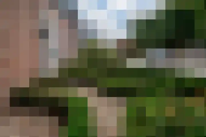 Weemstraat 6 Beek thumbnail 7