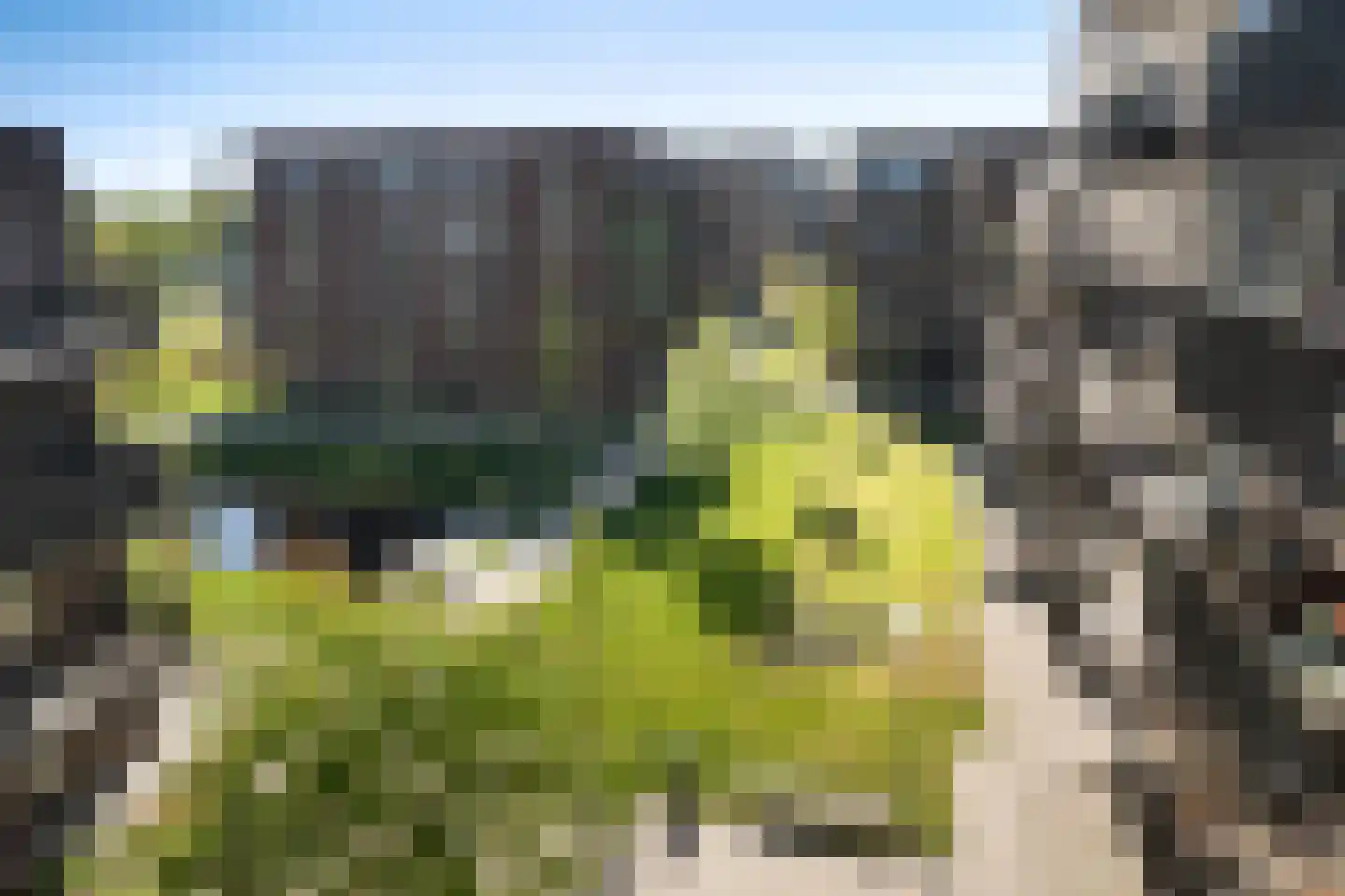 Weemveld 18 Zeeland thumbnail 13