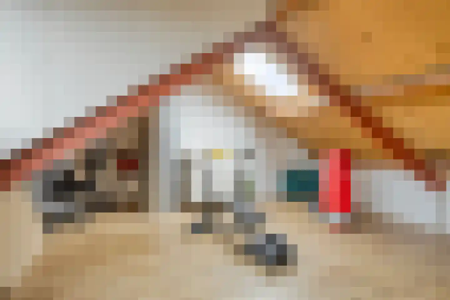 Weemveld 18 Zeeland thumbnail 26