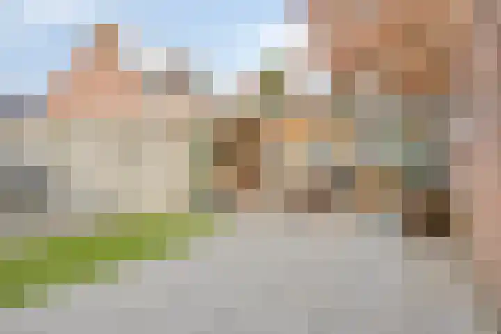 Weemveld 18 Zeeland thumbnail 31