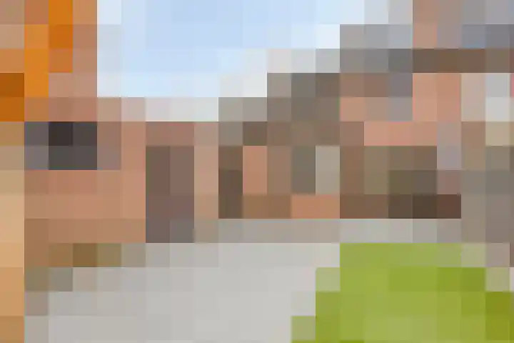 Weemveld 18 Zeeland thumbnail 33