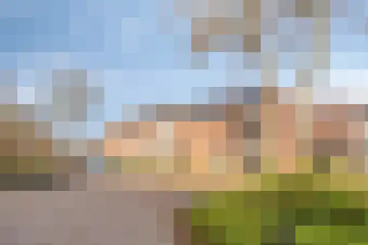 Weemveld 18 Zeeland thumbnail 41