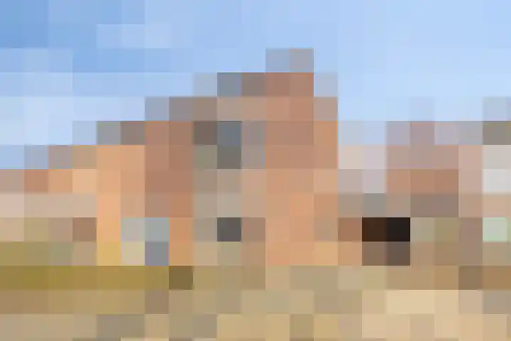 Weemveld 18 Zeeland thumbnail 42