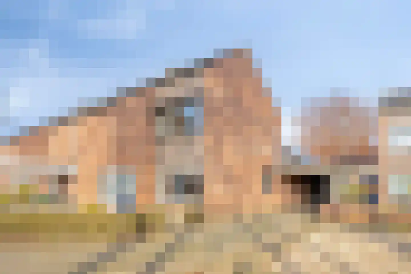 Weemveld 18 Zeeland thumbnail 42