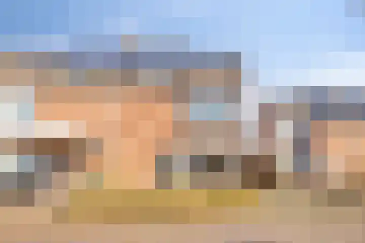 Weemveld 18 Zeeland thumbnail 5