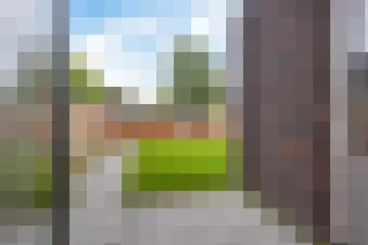 Weemweg 4 Stedum thumbnail 14