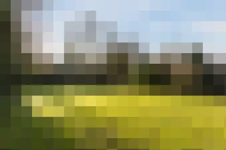 Weena 1071 Rotterdam