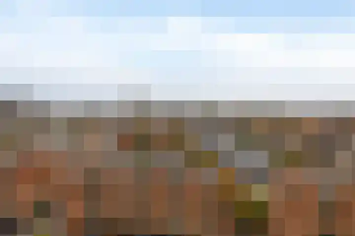 Weena 1077 Rotterdam thumbnail 28