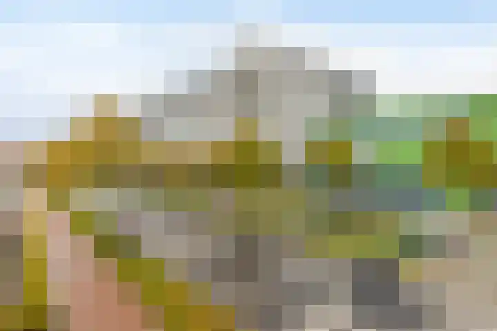 Weena 1077 Rotterdam thumbnail 7