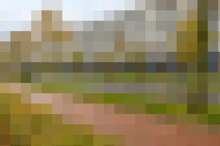 Weena 1077 Rotterdam thumbnail 8