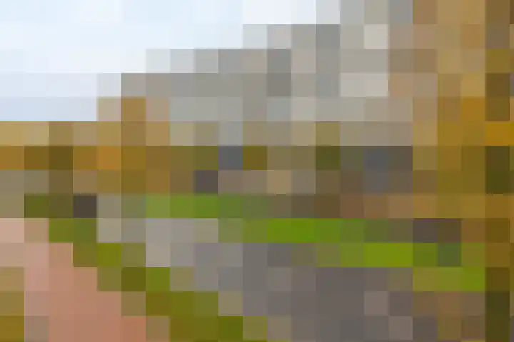 Weena 1077 Rotterdam thumbnail 9