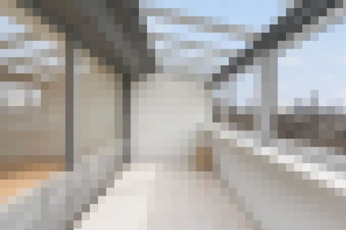Weena 1081 Rotterdam thumbnail 8