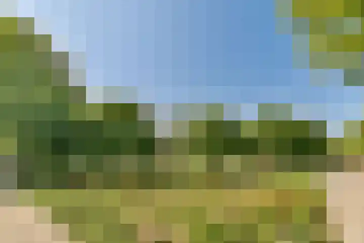 Weena 1127 Rotterdam thumbnail 25