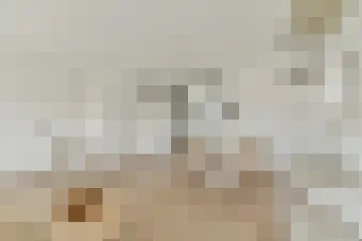 Weena 1127 Rotterdam thumbnail 7