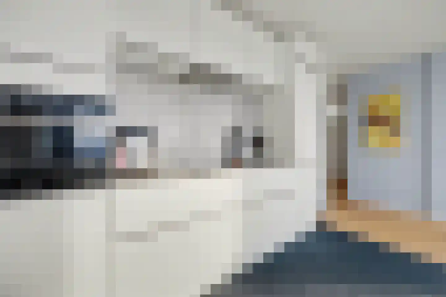 Weena 1157 Rotterdam thumbnail 11