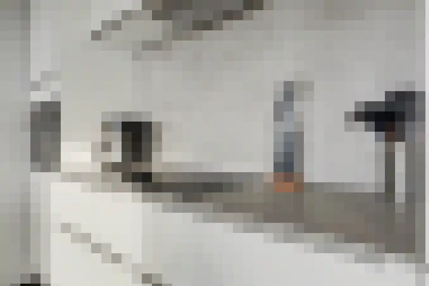 Weena 1157 Rotterdam thumbnail 12