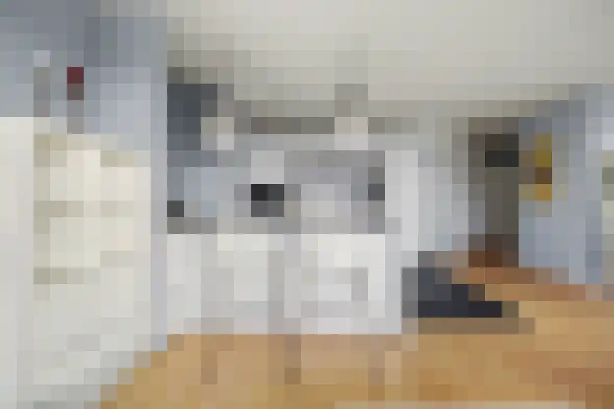 Weena 1157 Rotterdam thumbnail 13