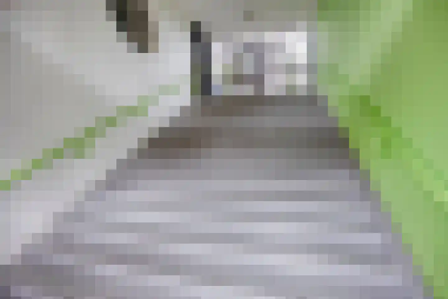 Weena 1165 Rotterdam thumbnail 31