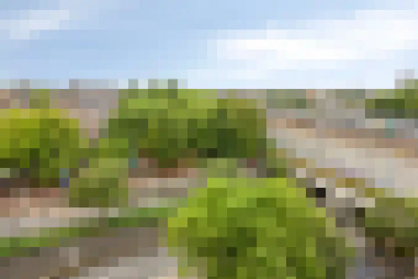 Weena 1165 Rotterdam thumbnail 8