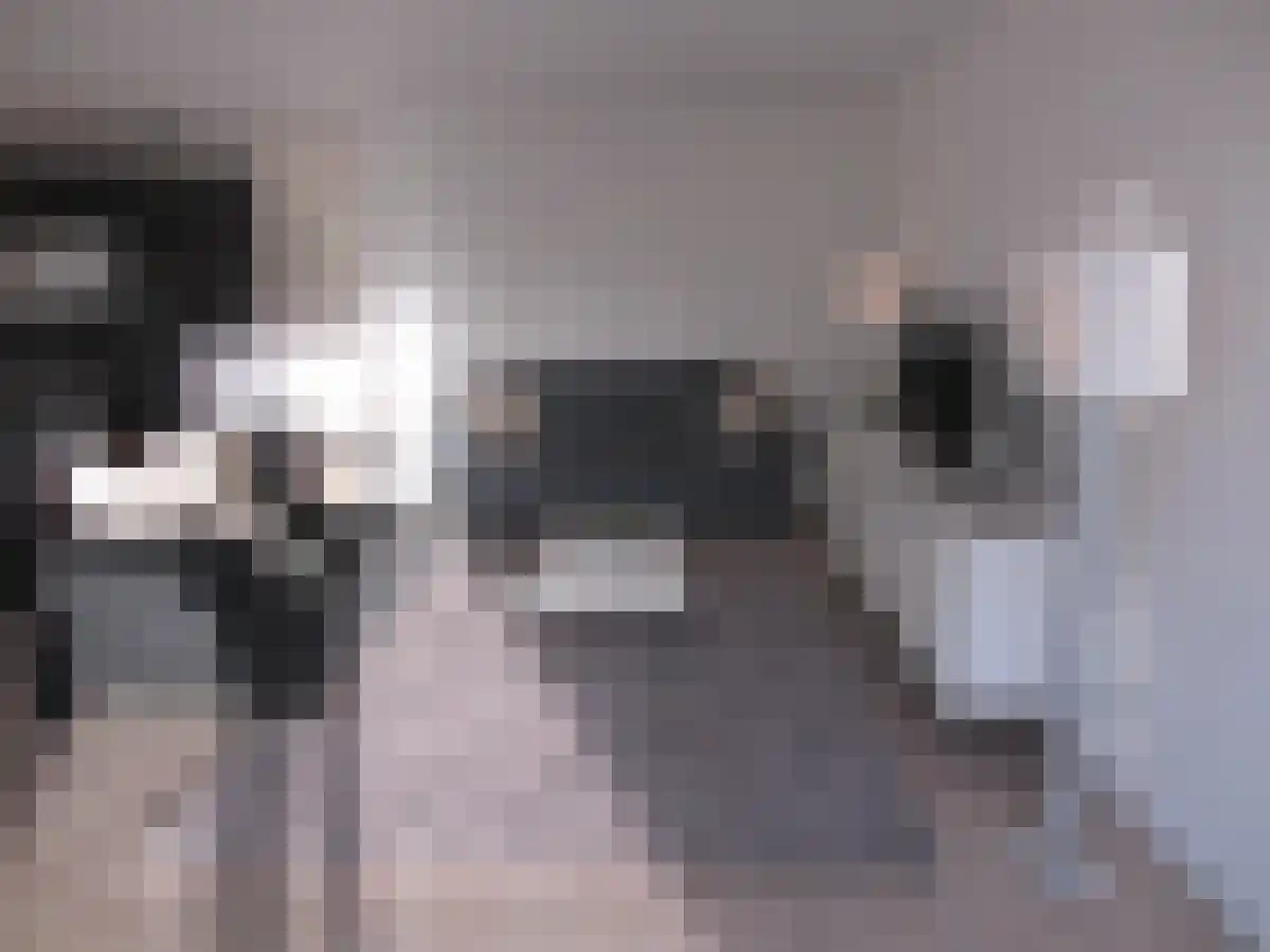 Weena 17 Rotterdam thumbnail 4