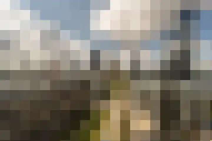 Weena 209 Rotterdam thumbnail 26