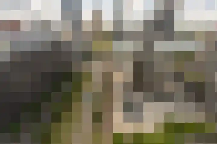Weena 209 Rotterdam thumbnail 27