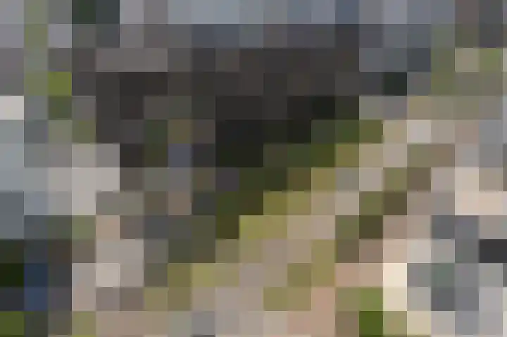 Weena 209 Rotterdam thumbnail 28