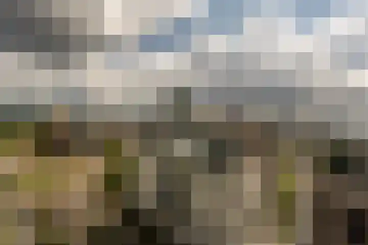 Weena 209 Rotterdam thumbnail 29
