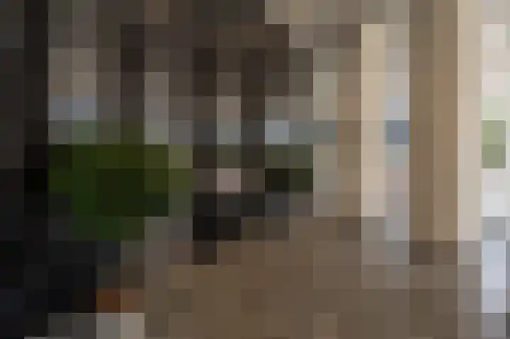 Weena 209 Rotterdam thumbnail 35