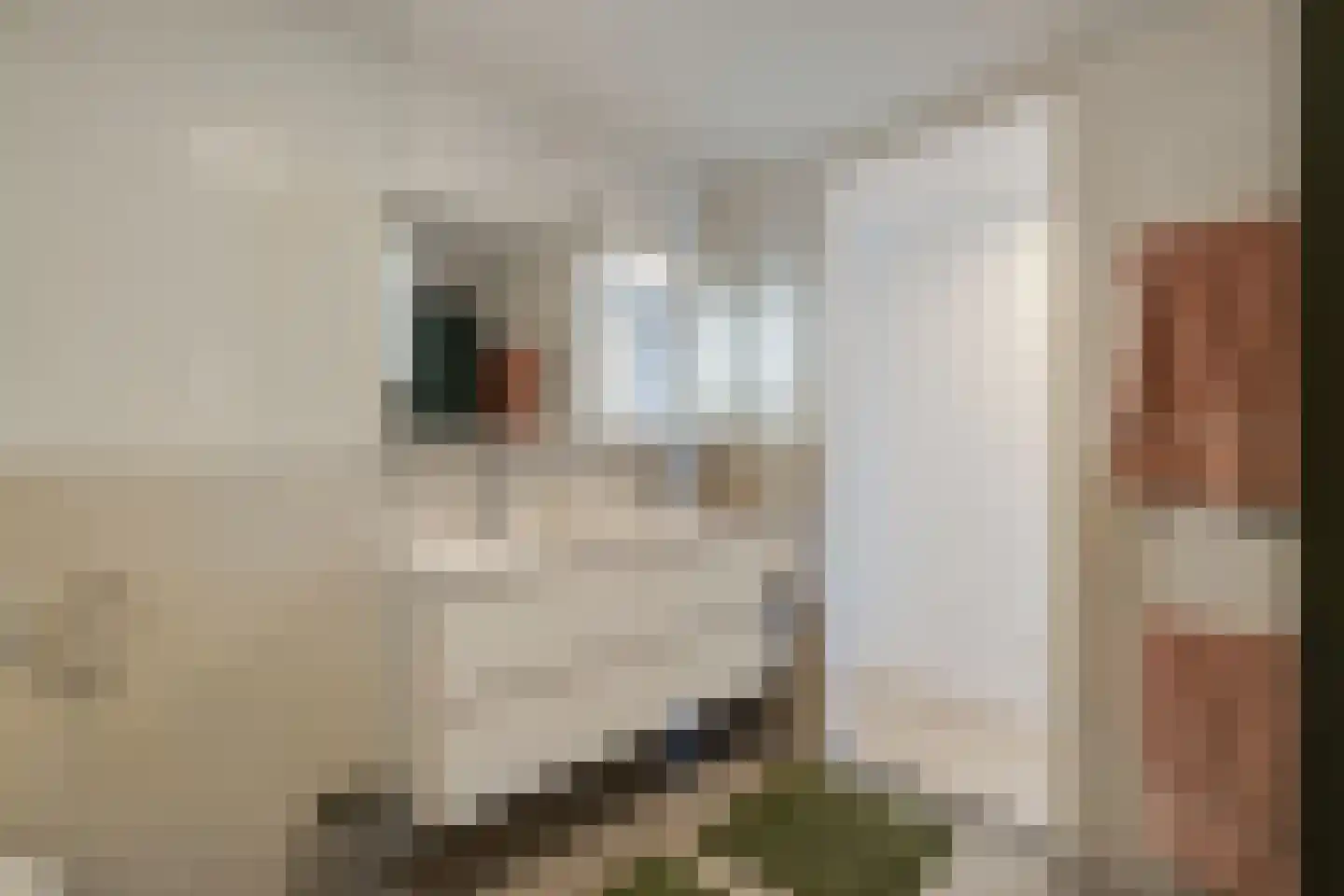Weena 251 Rotterdam thumbnail 31