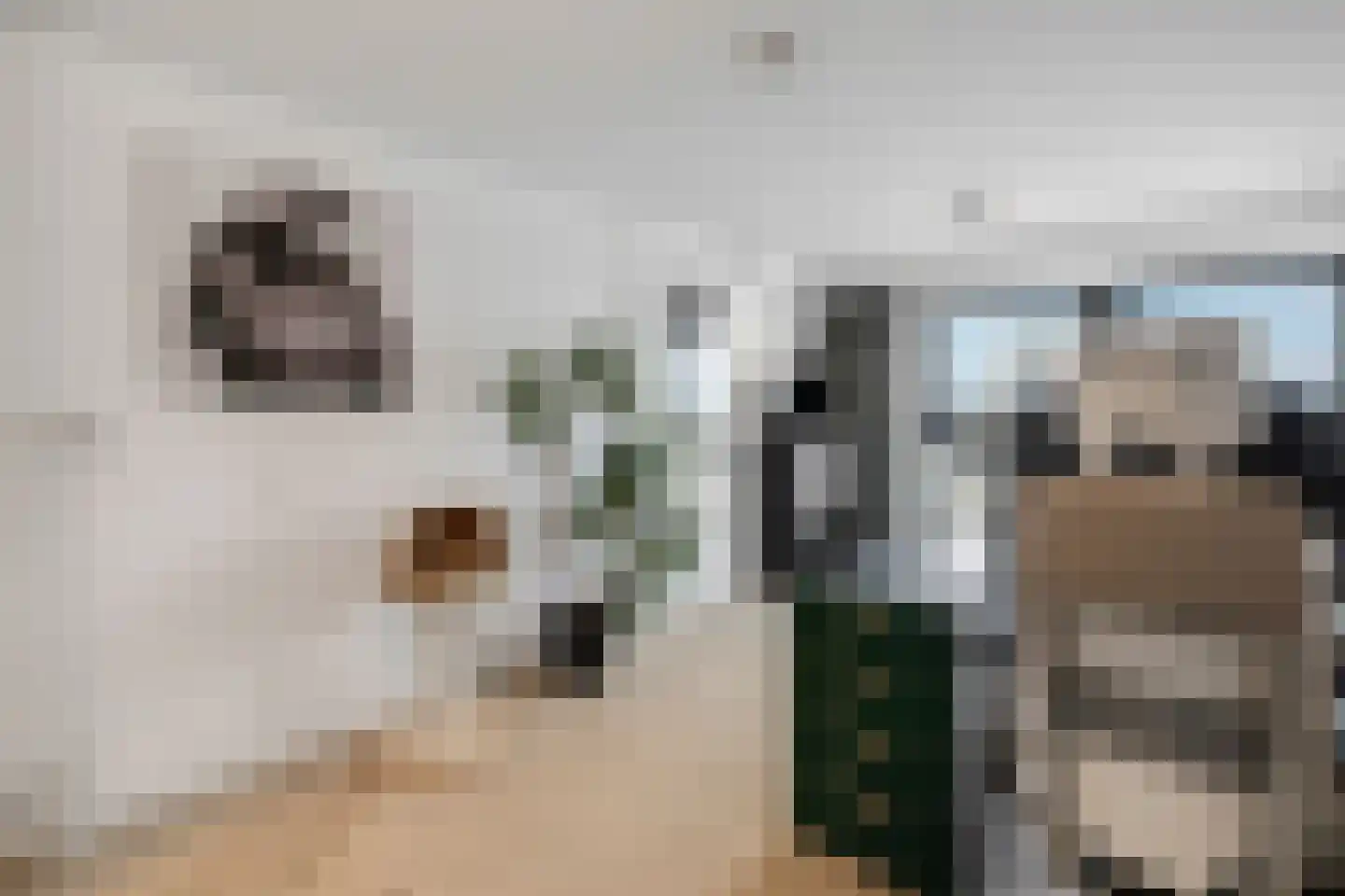 Weena 251 Rotterdam thumbnail 36
