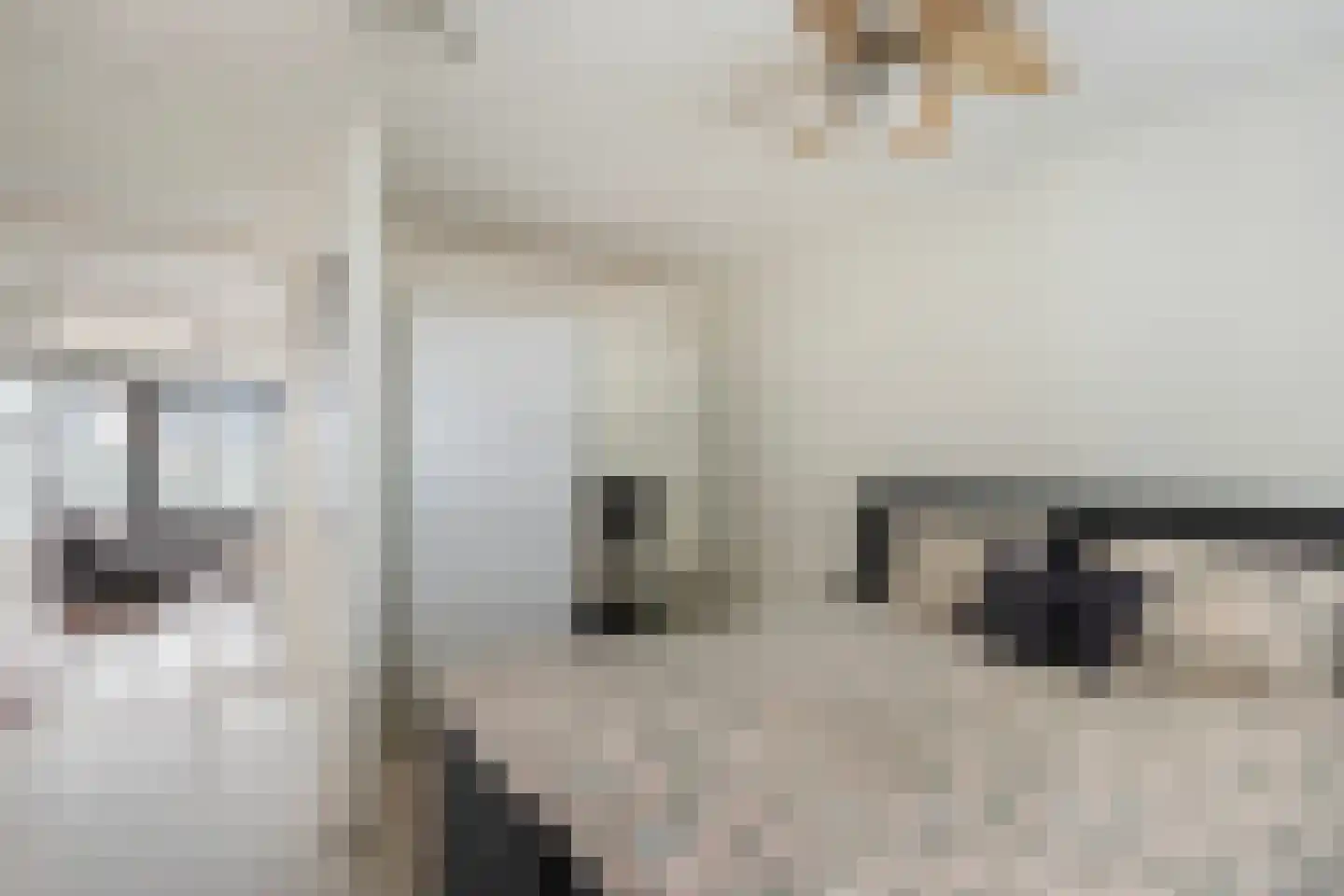 Weena 47 D Rotterdam thumbnail 31