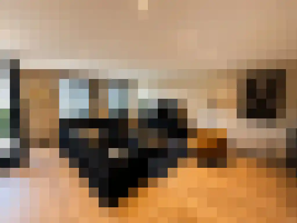 Weena 5 Rotterdam thumbnail 5