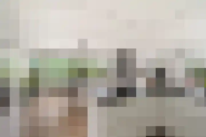 Weena 769 Rotterdam thumbnail 12