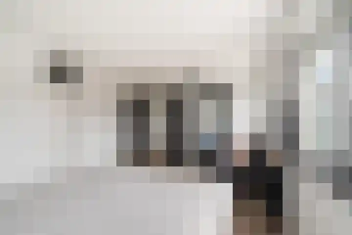 Weena 769 Rotterdam thumbnail 17