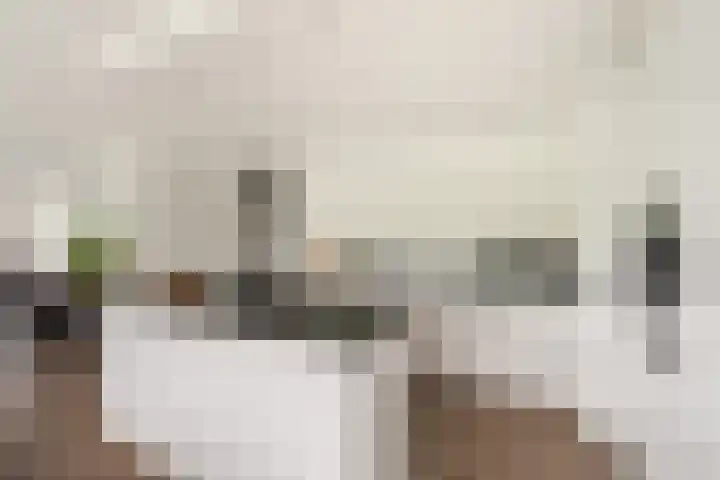 Weena 769 Rotterdam foto 2