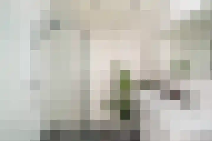 Weena 769 Rotterdam thumbnail 27