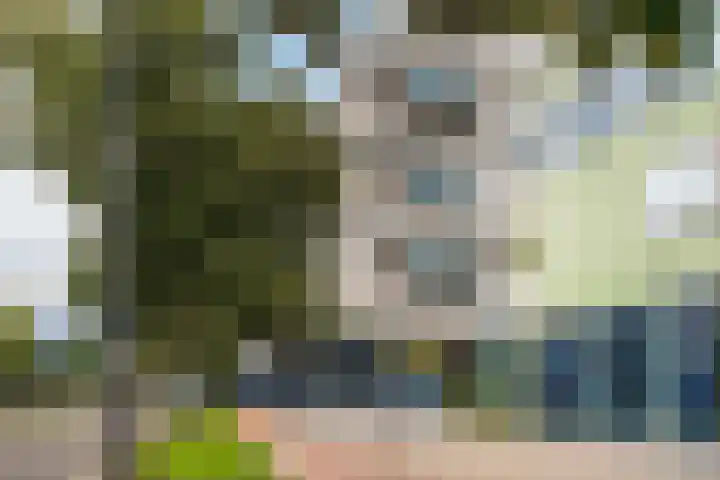 Weena 769 Rotterdam thumbnail 39