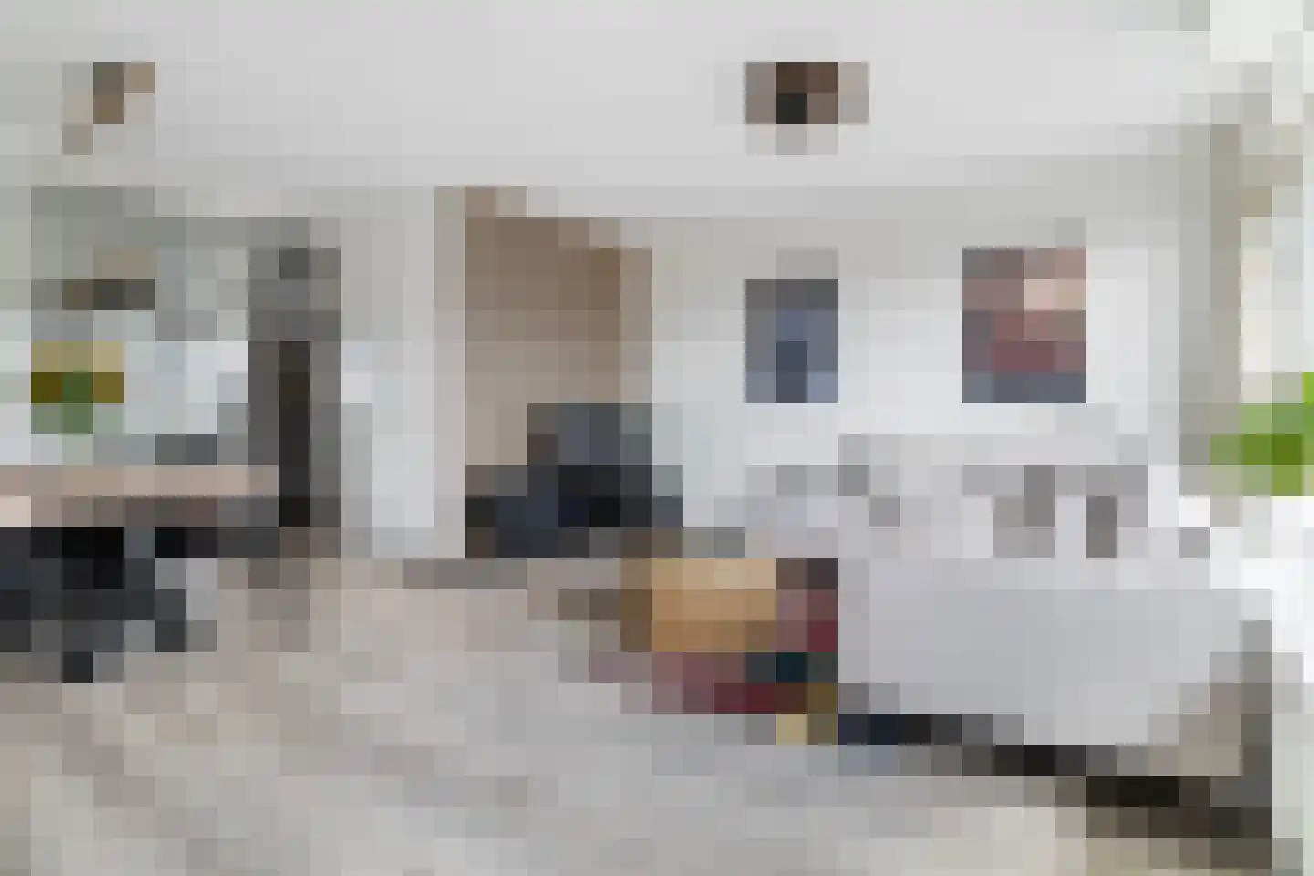Weena 815 Rotterdam thumbnail 5