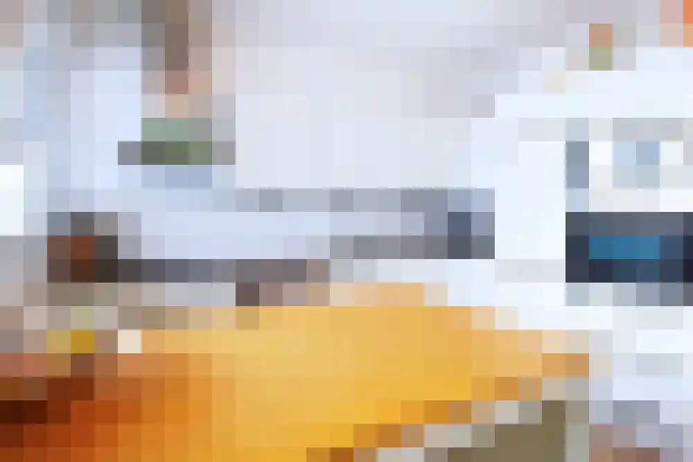 Weena 817 Rotterdam thumbnail 33