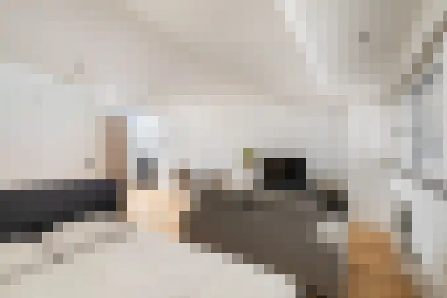 Weena 871 Rotterdam thumbnail 12