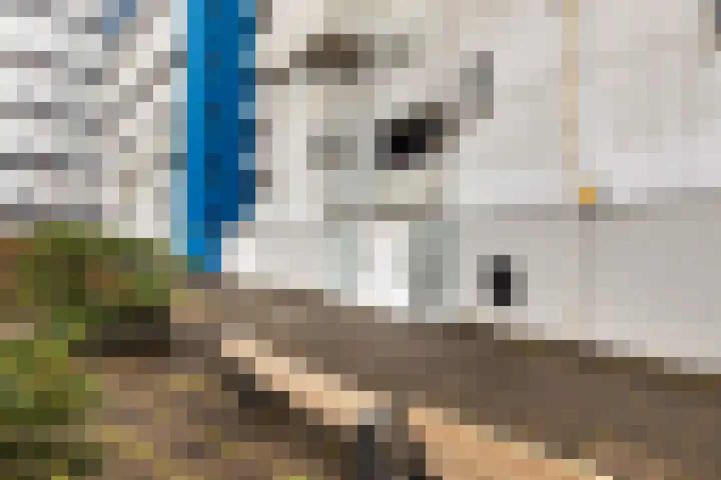 Weena 871 Rotterdam thumbnail 24
