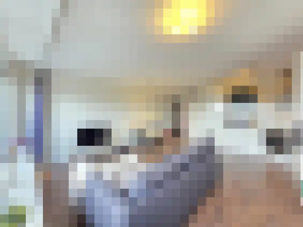 Weena 881 Rotterdam thumbnail 6